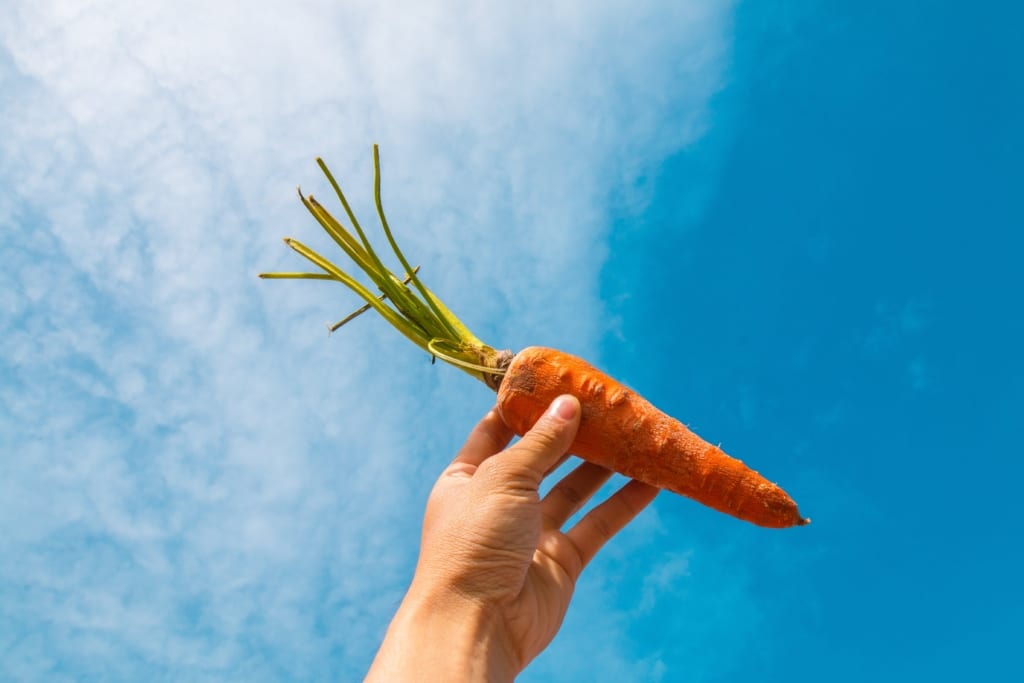 carrot Which Motivates More: A Carrot or a Stick?